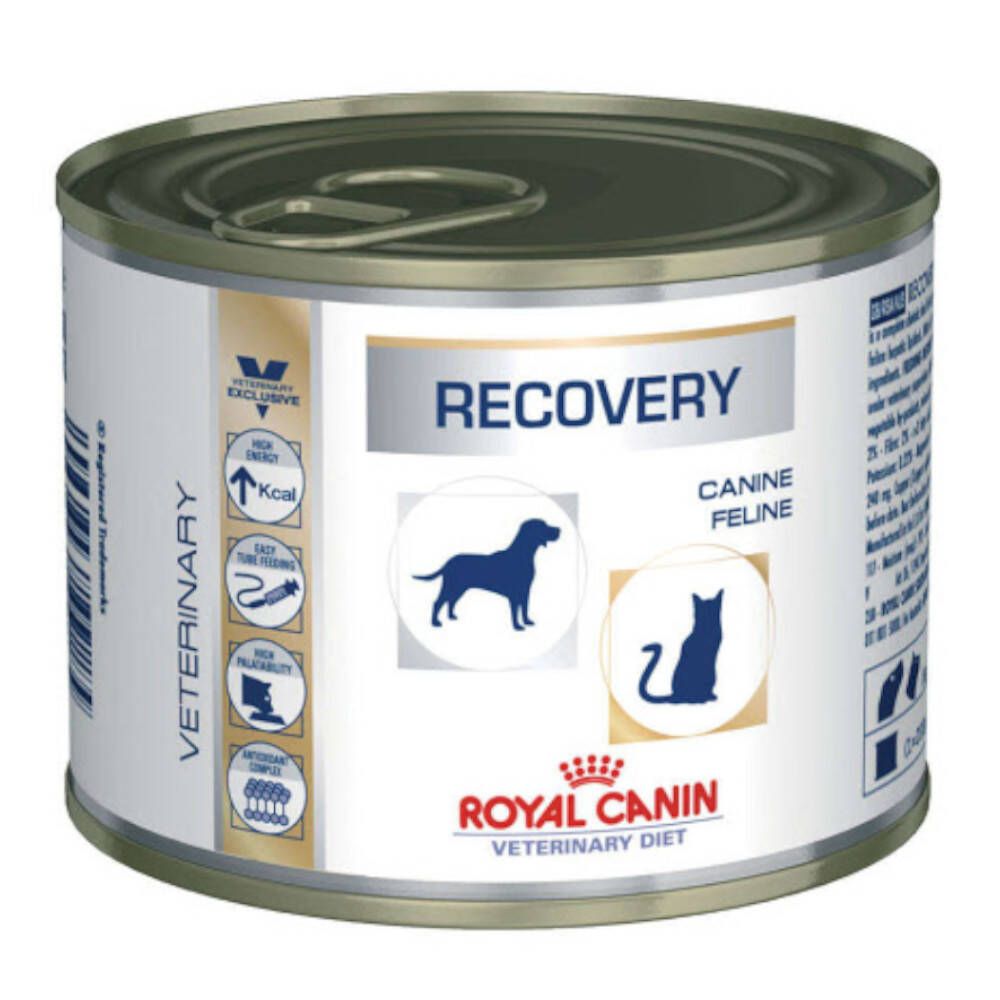 Royal Canin Recovery Hund und Katze