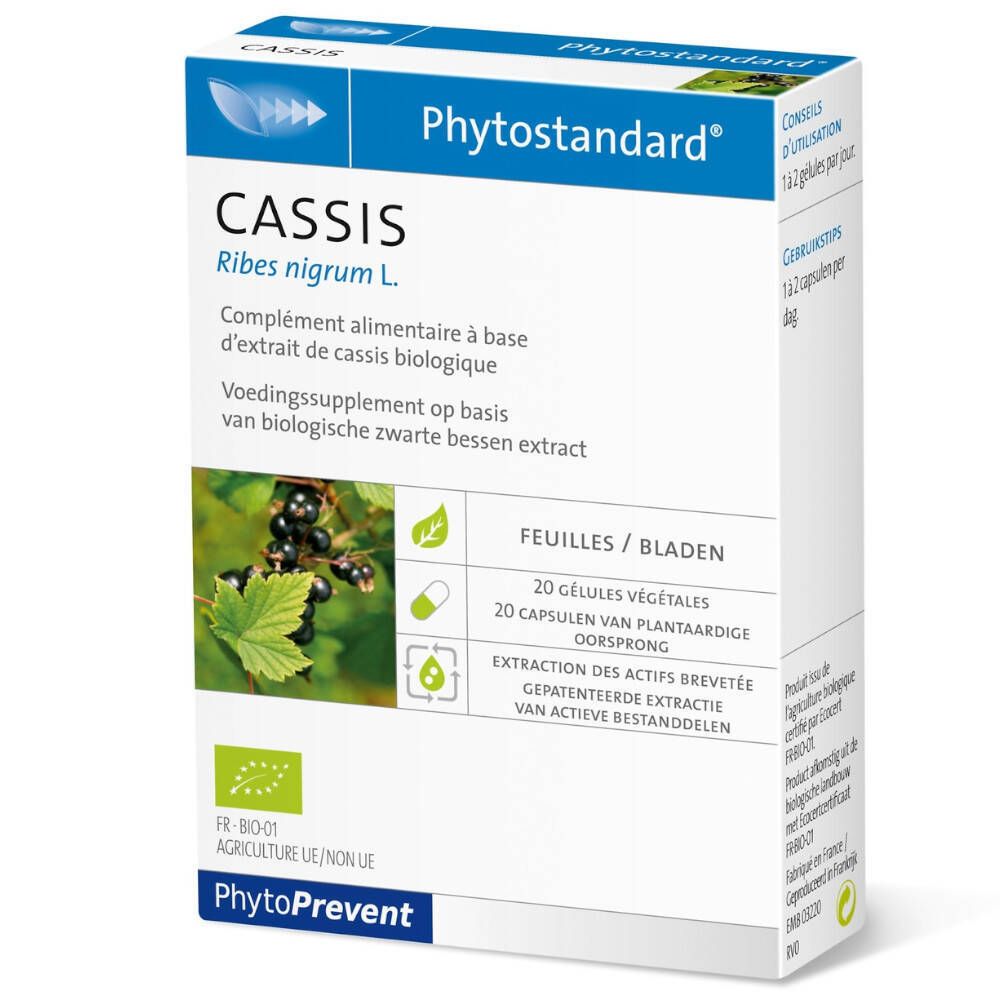 Kartonverpackung mit Produktnamen "CASSIS" und "Phytostandard". Enthält 20 Kapseln. Bio-Zertifizierung.