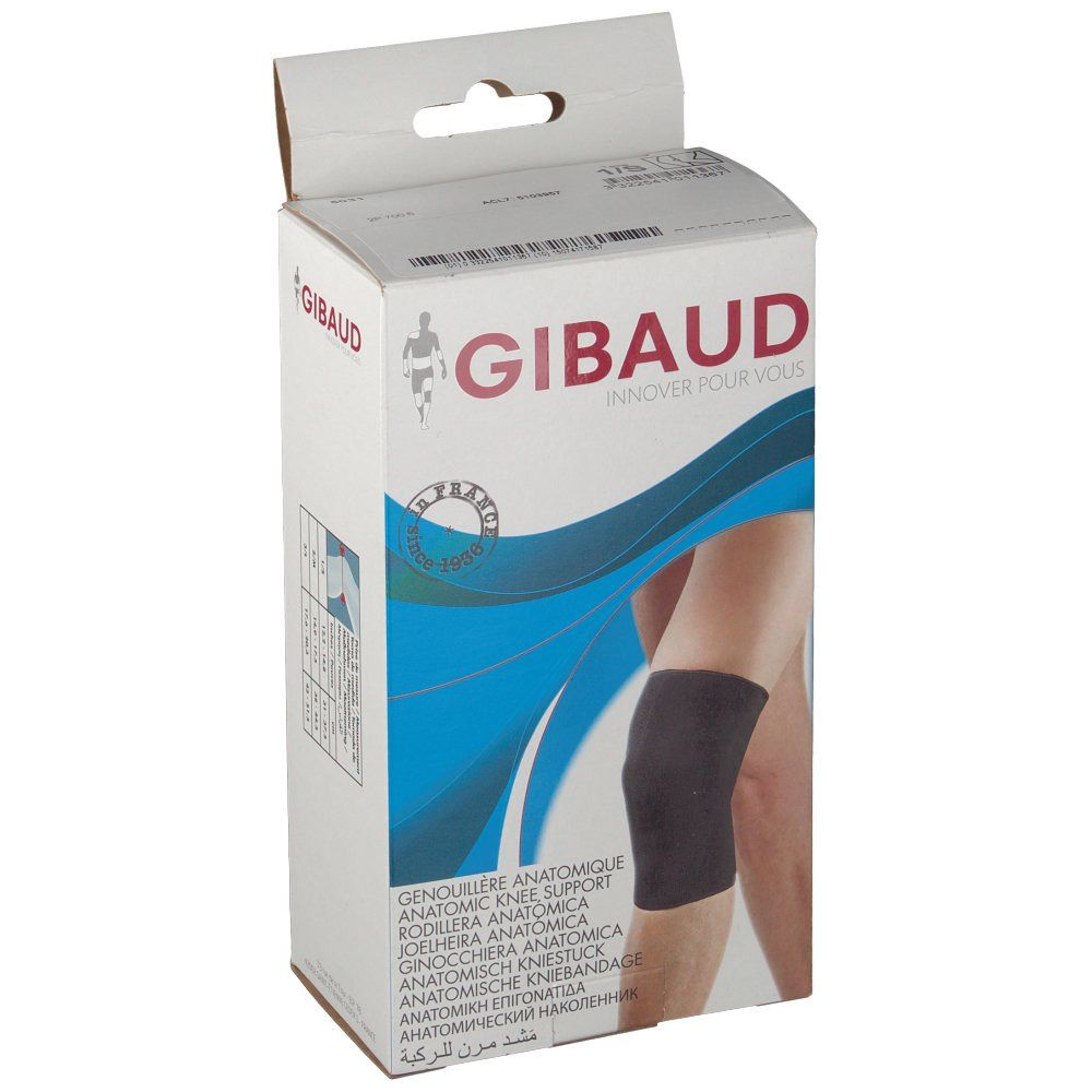Gibaud Ref 5031 Maat 1