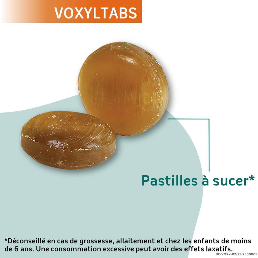 Naturactive VoxylTabs