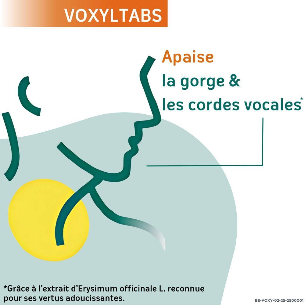 Naturactive VoxylTabs