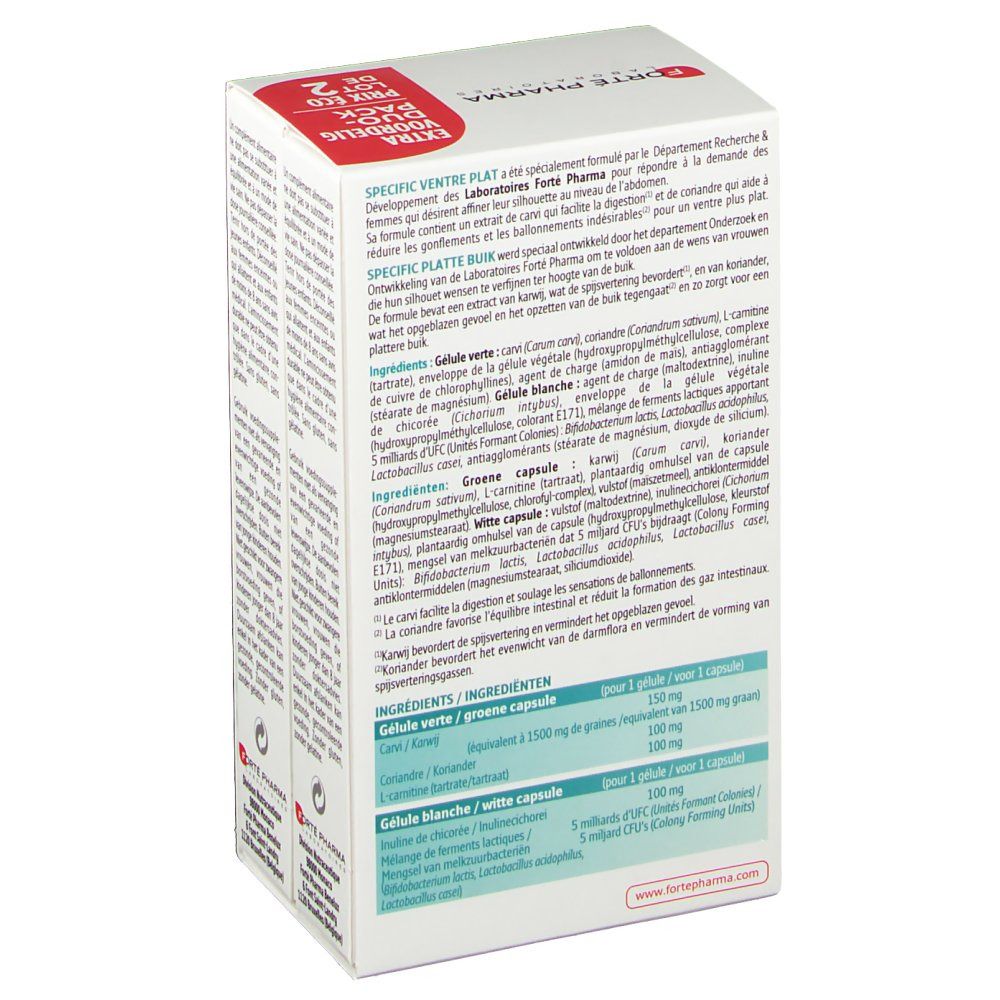 Forté Pharma Specific Flacher Bauch