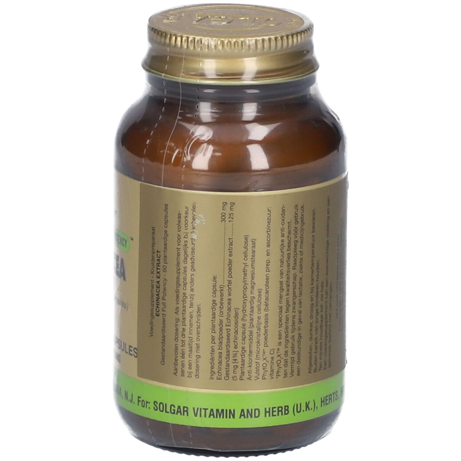 Echinacea-Extrakt Gemüsekapseln