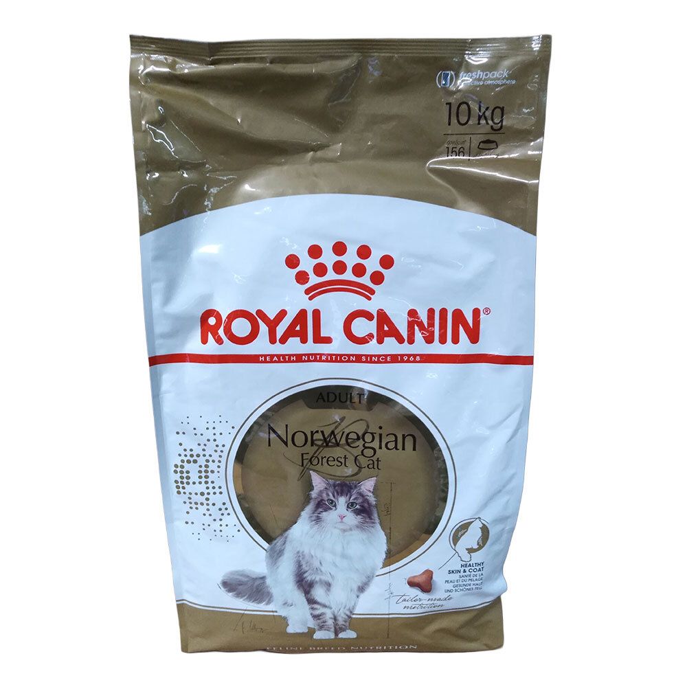 Royal Canin Norwegian Forest Cat Trockenfutter, 10 kg Beutel mit Katzenbild.