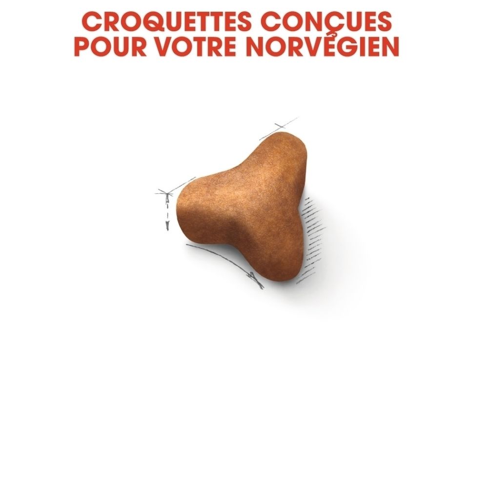 Ein einzelner, brauner Kroketten in dreieckiger Form mit abgerundeten Ecken.