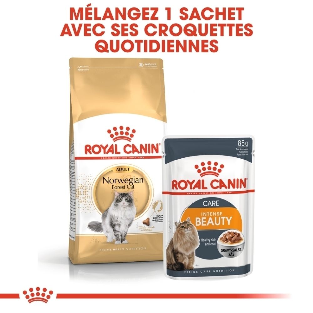 Royal Canin Katzenfutter: Beutel für Norwegian Forest Cat und Pouch für Intense Beauty.