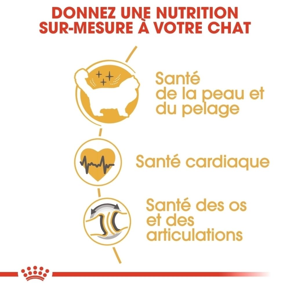 Grafik mit Icons für Katzengesundheit: Haut, Herz, Gelenke. Text: "Maßgeschneiderte Ernährung für Ihre Katze".