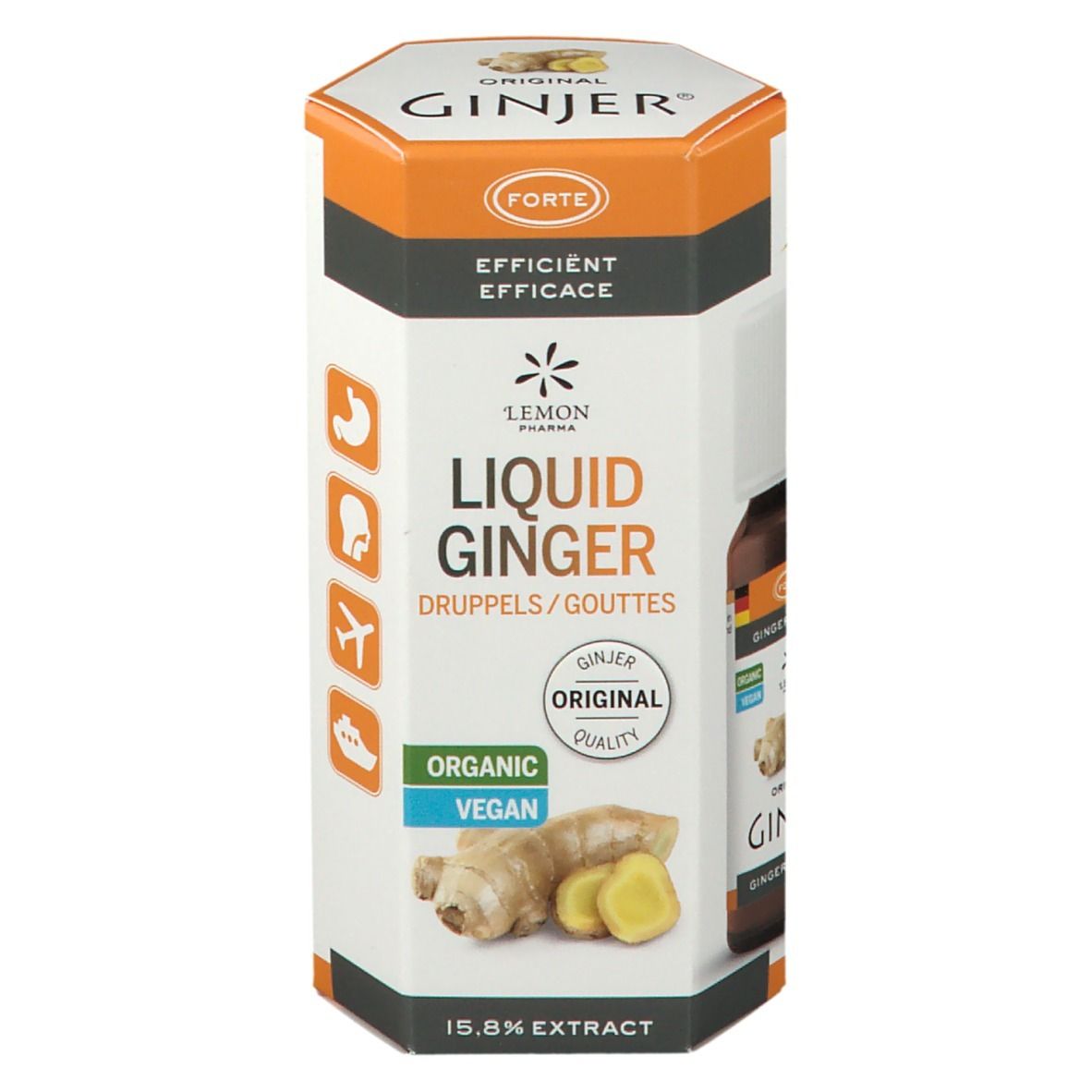 Emballage cylindrique Ginjer Original Forte Gouttes. Inscription: Liquid Ginger, Organic, Vegan. Illustration de gingembre.