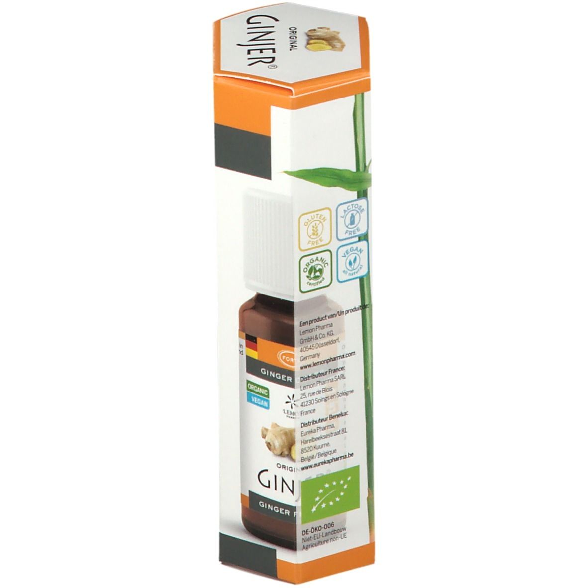 Flacon Ginjer Original Forte Gouttes dans son emballage. Inscription: Ginjer, Organic, Vegan. Illustration de gingembre. Certifications.