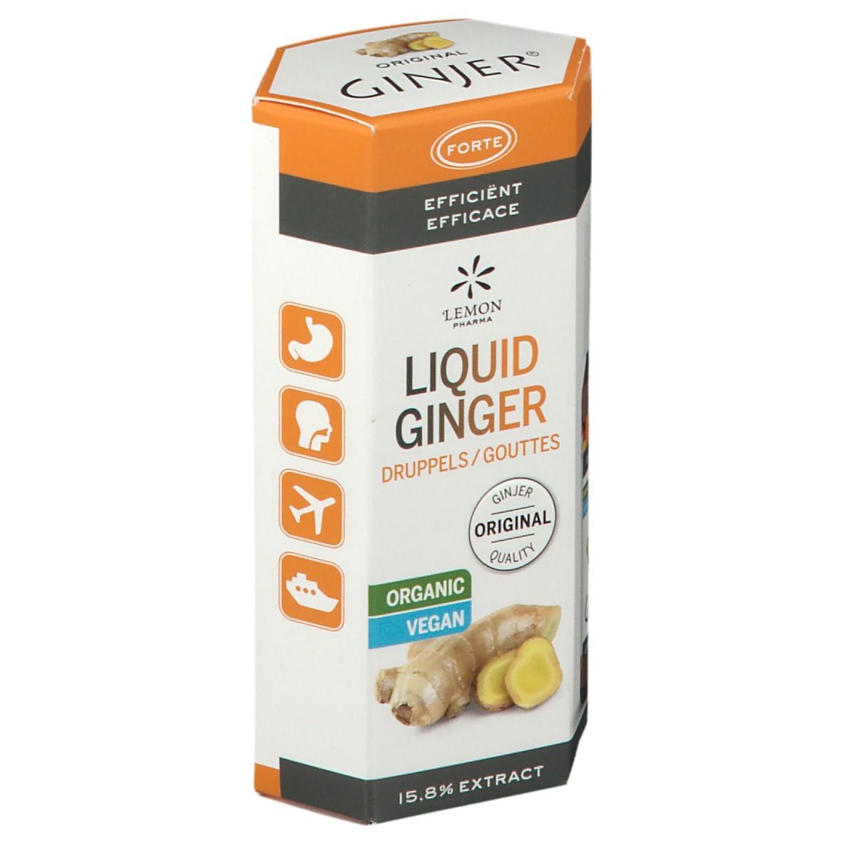 Emballage cylindrique Ginjer Original Forte Gouttes. Inscription: Liquid Ginger, Organic, Vegan. Illustration de gingembre. Icônes.