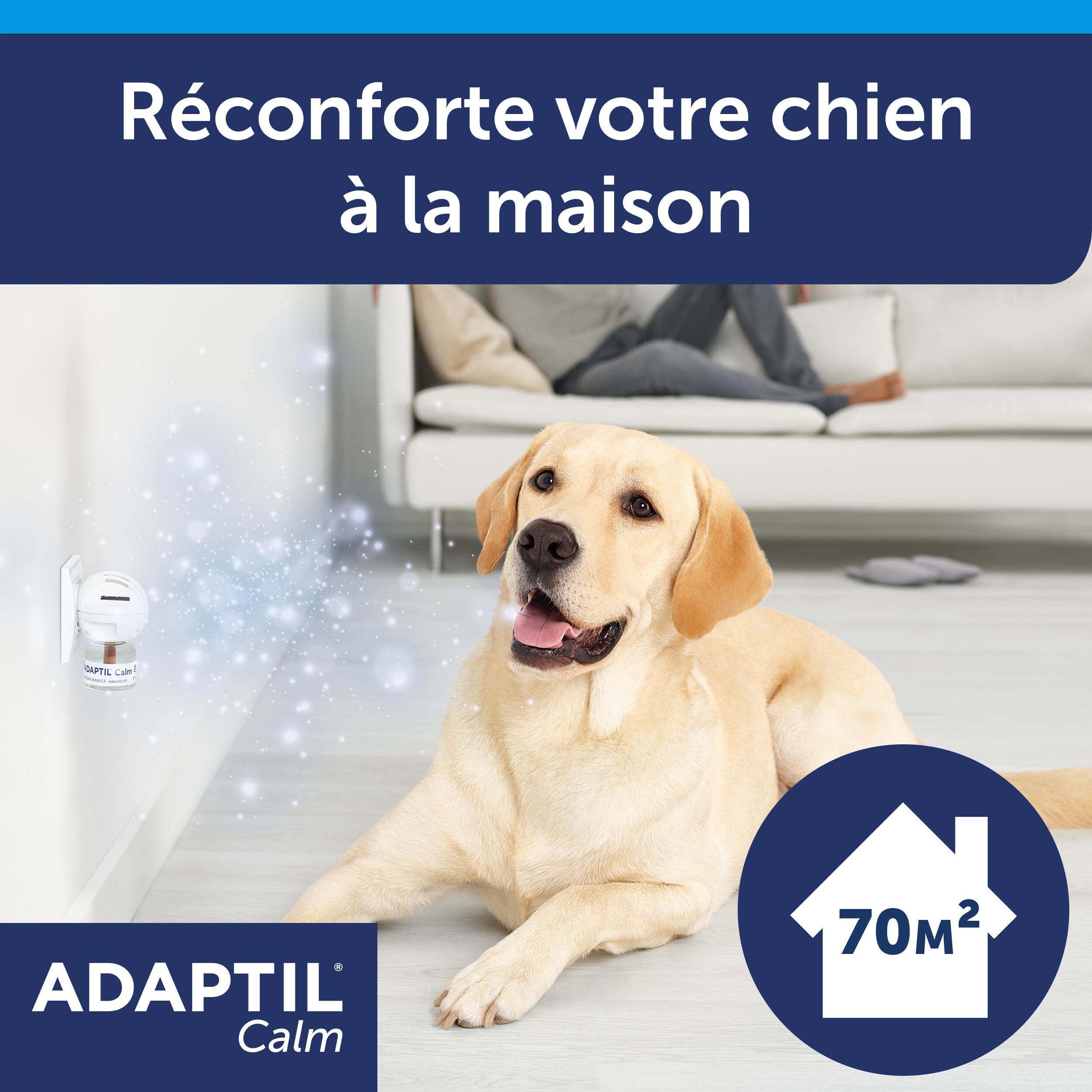 ADAPTIL® Calm Recharge