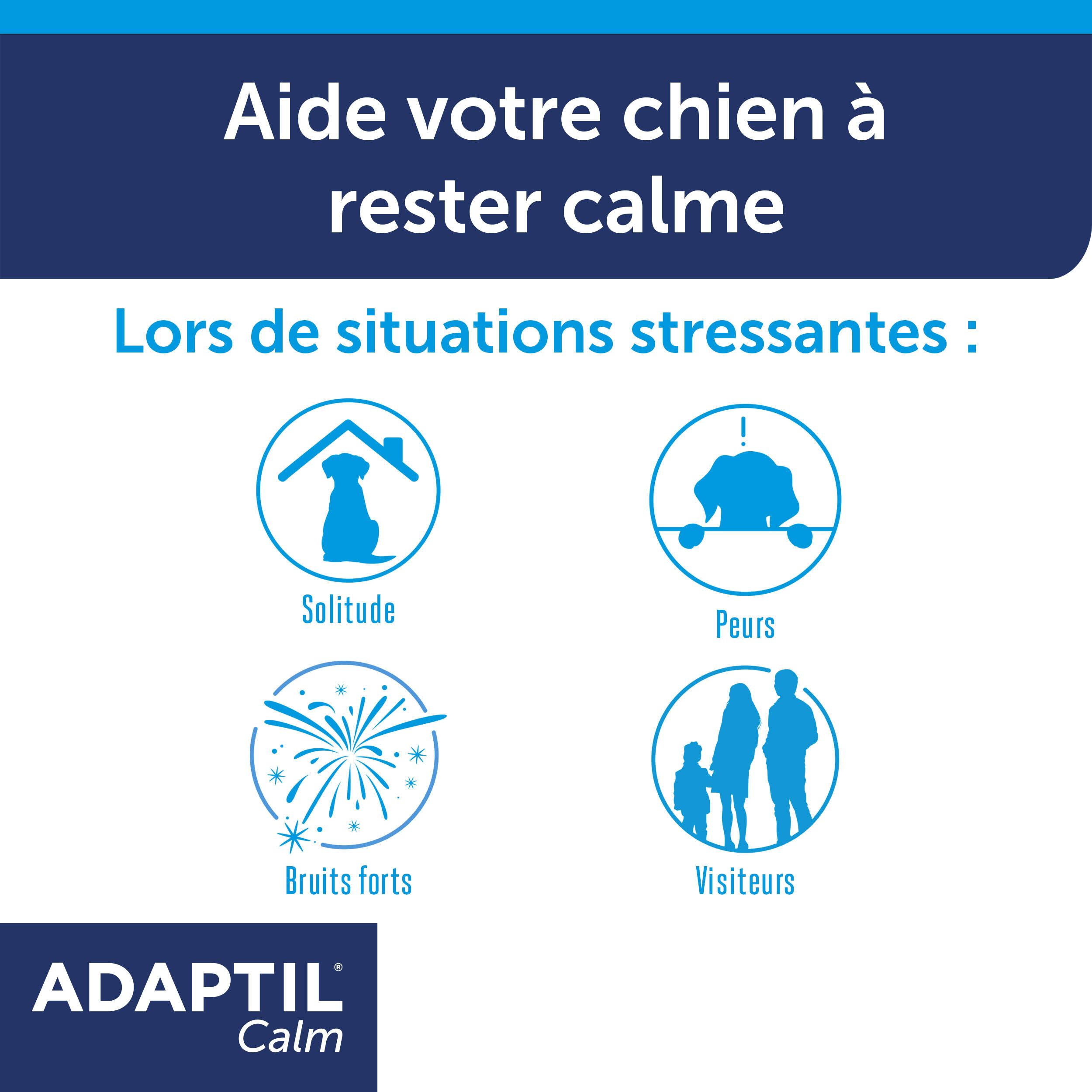 ADAPTIL® Calm Recharge