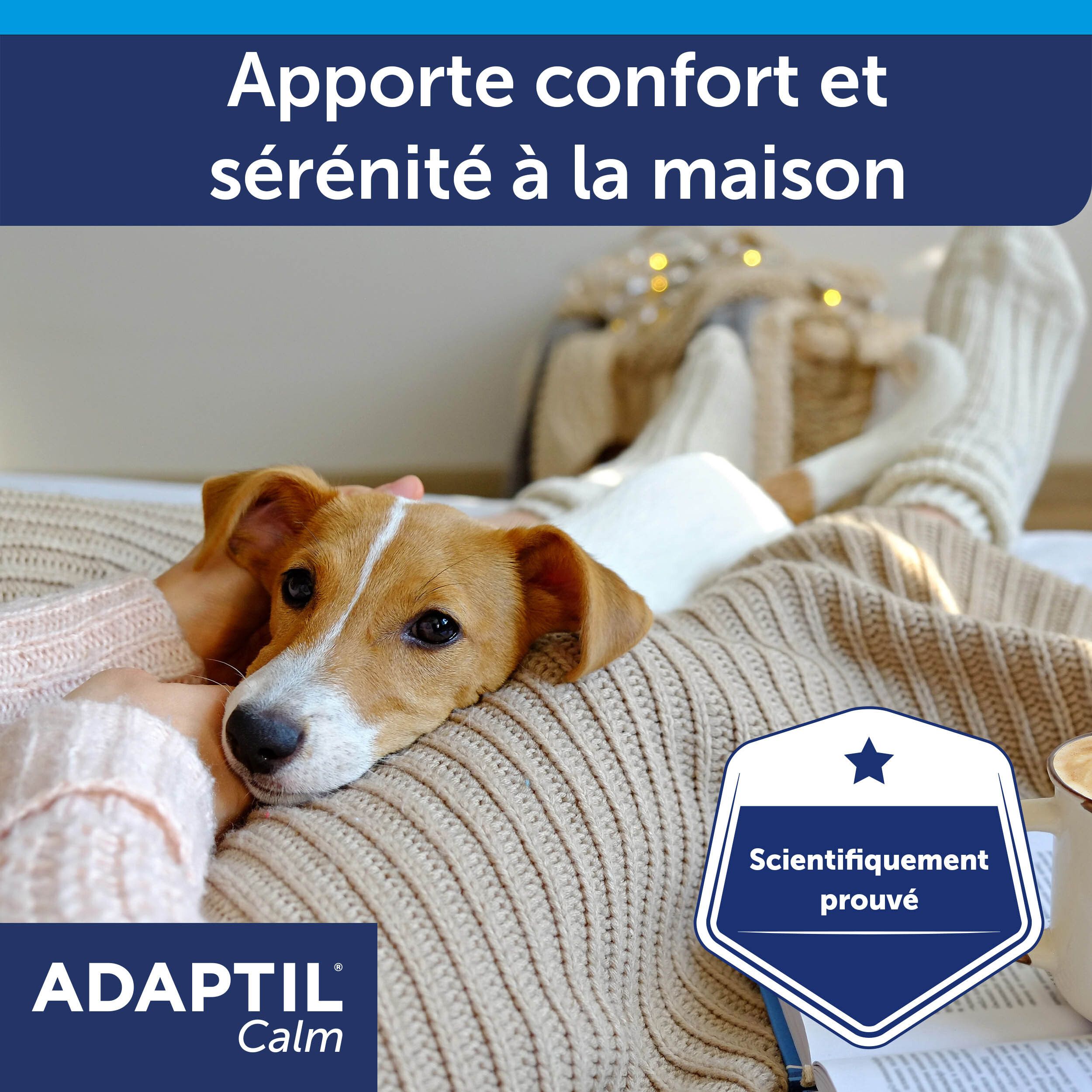 ADAPTIL® Calm Recharge