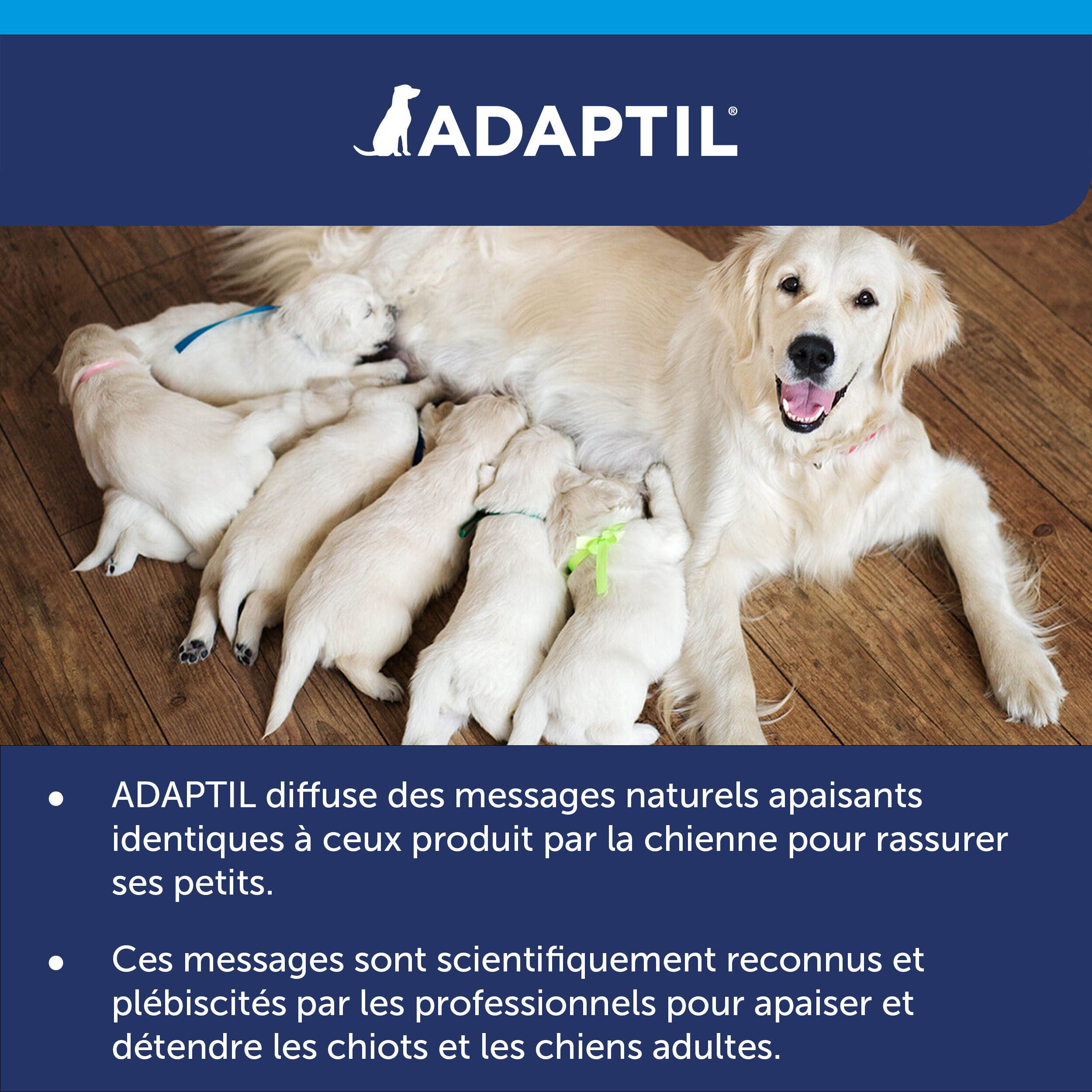 ADAPTIL® Calm Recharge