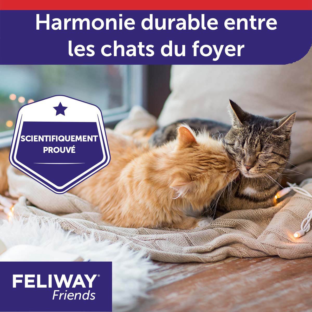 FELIWAY® FRIENDS Recharge Chat