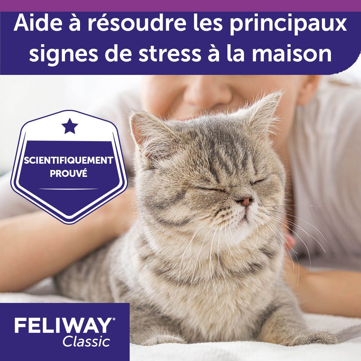 Feliway Classic Recharge