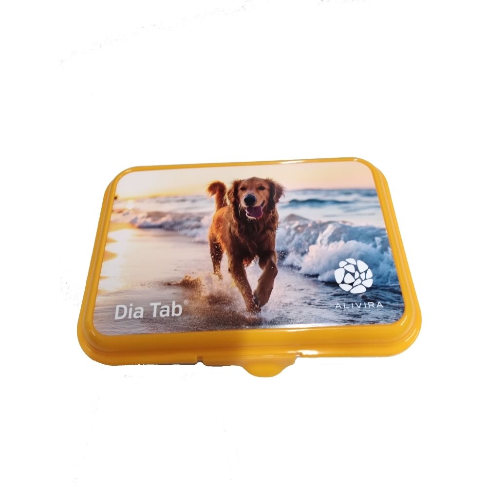 Boîte orange avec image d'un chien courant sur la plage.