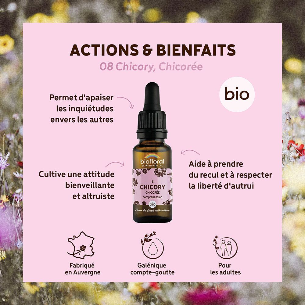 BIOFLORAL 08 - Chicory