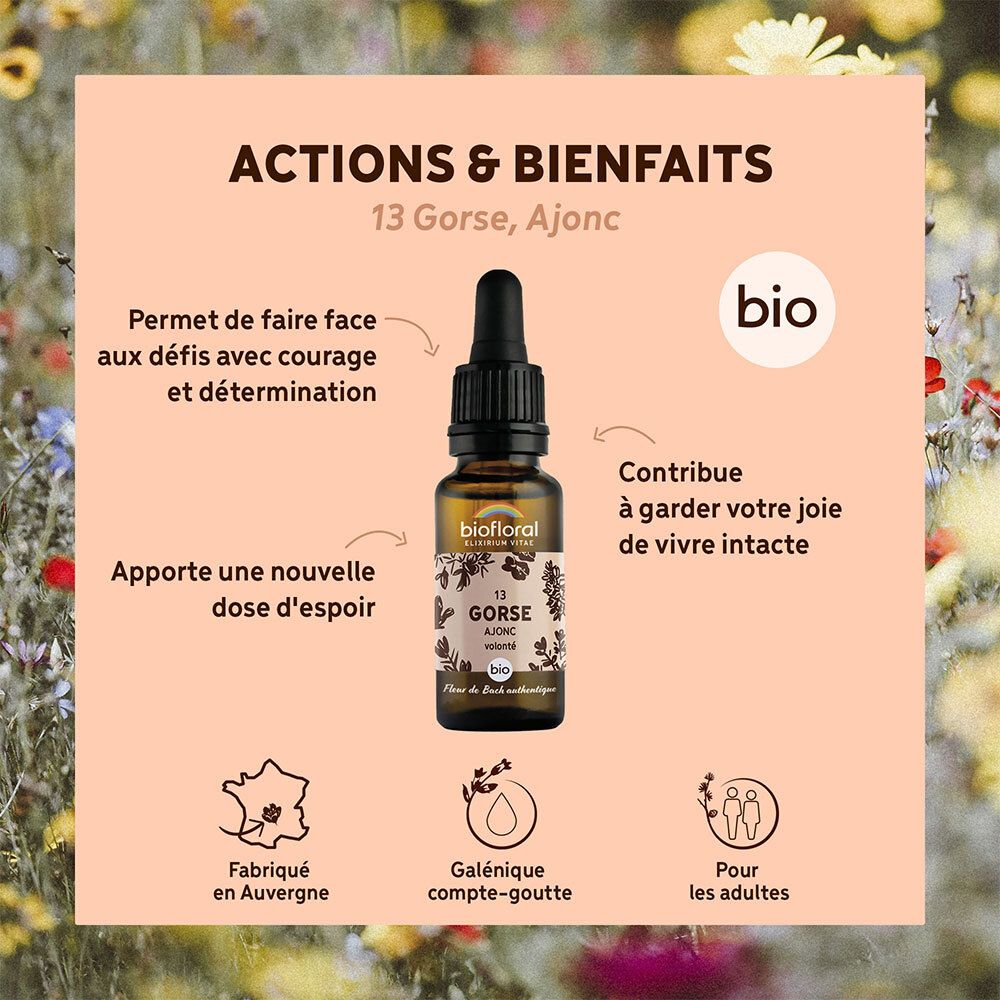 BIOFLORAL 13 - Gorse - Ajonc - 20 ml