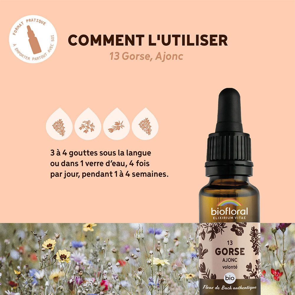 BIOFLORAL 13 - Gorse - Ajonc - 20 ml