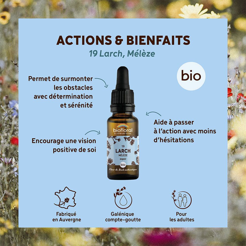 BIOFLORAL 19 - Larch - Mélèze