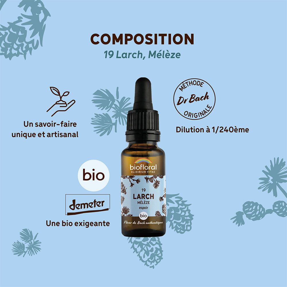 BIOFLORAL 19 - Larch - Mélèze