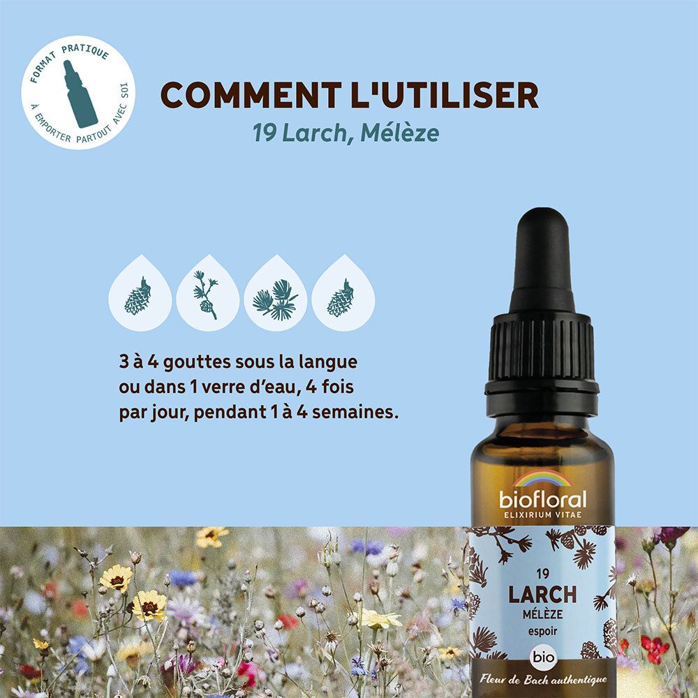 BIOFLORAL 19 - Larch - Mélèze