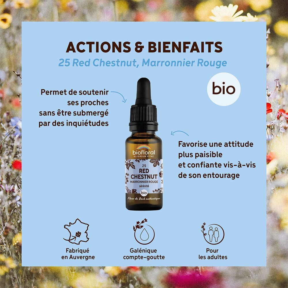 BIOFLORAL 25 - Rote Kastanie