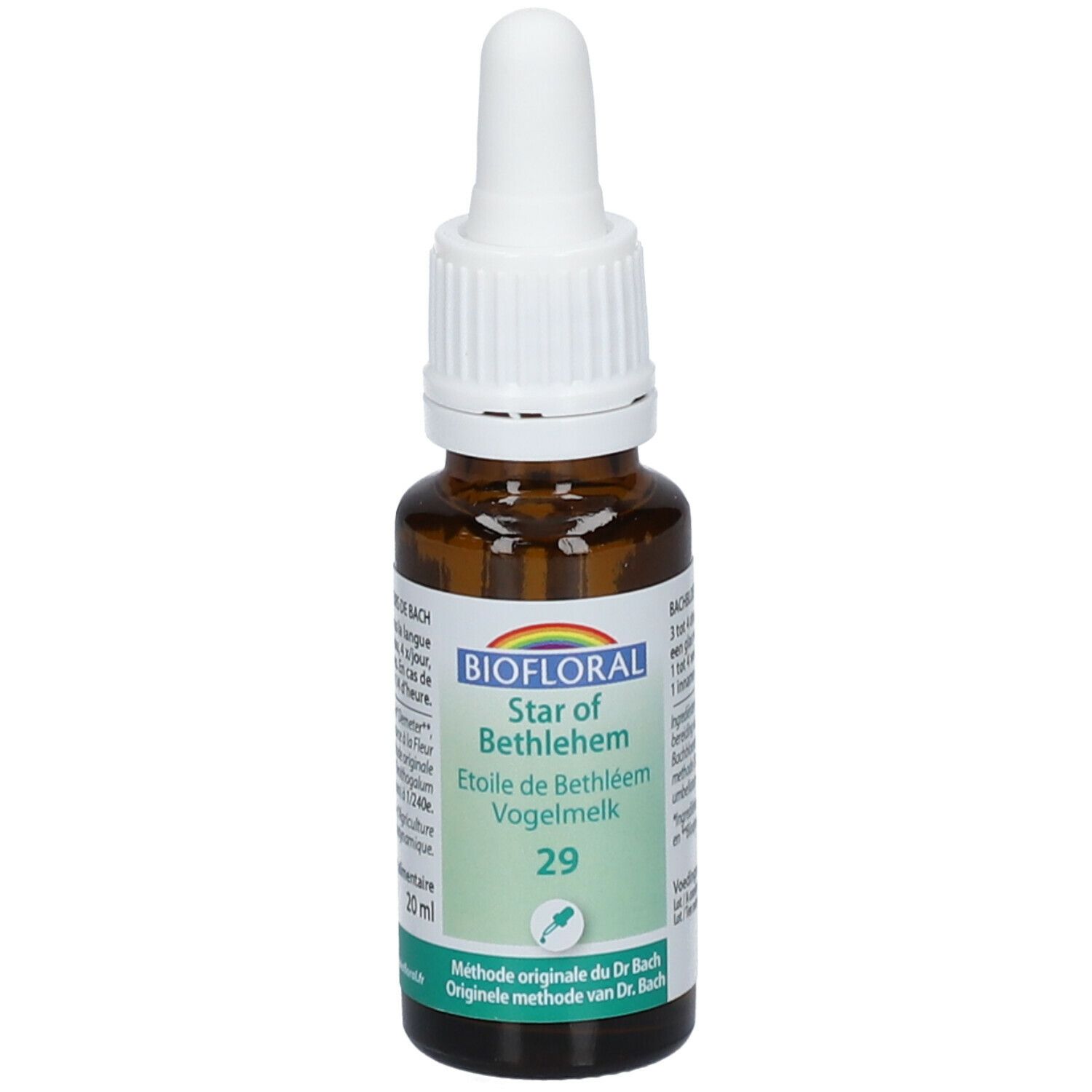 BIOFLORAL 29 - Stern von Bethlehem - Etoile de Bethléem - 20 ml