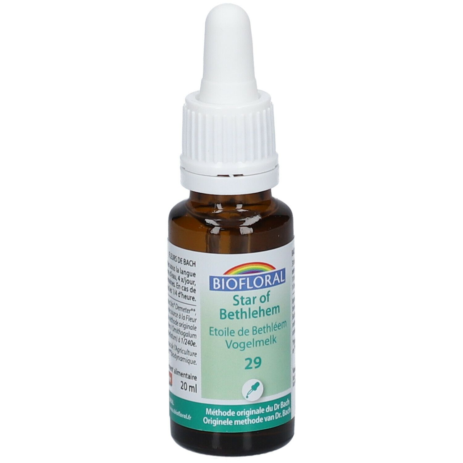 BIOFLORAL 29 - Stern von Bethlehem - Etoile de Bethléem - 20 ml