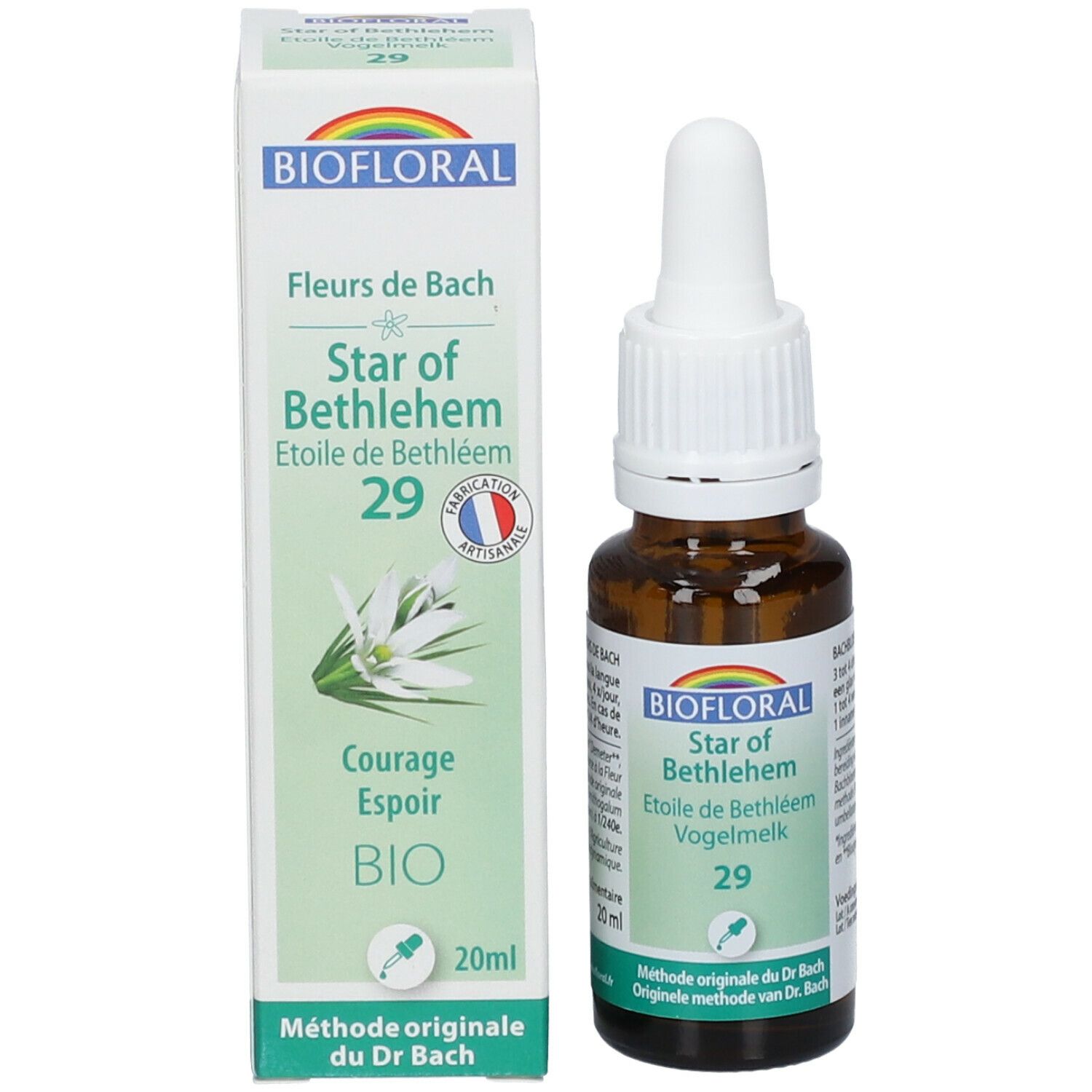 BIOFLORAL 29 - Stern von Bethlehem - Etoile de Bethléem - 20 ml