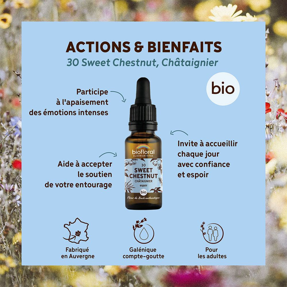 BIOFLORAL 30 - Sweet chestnut - Kastanie - 20 ml