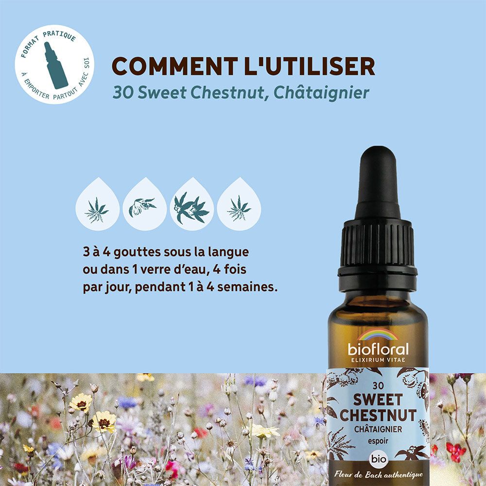 BIOFLORAL 30 - Sweet chestnut - Kastanie - 20 ml