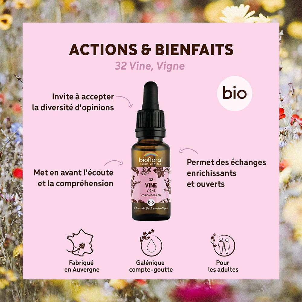 BIOFLORAL 32 - Weinrebe - Vigne - 20 ml