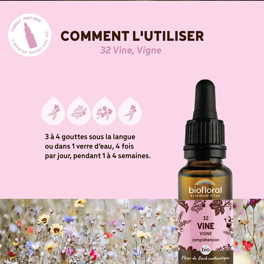 BIOFLORAL 32 - Weinrebe - Vigne - 20 ml