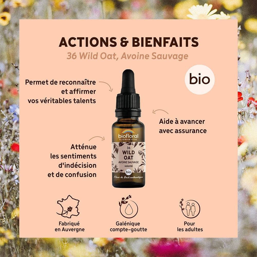 BIOFLORAL 36 - Wilder Hafer