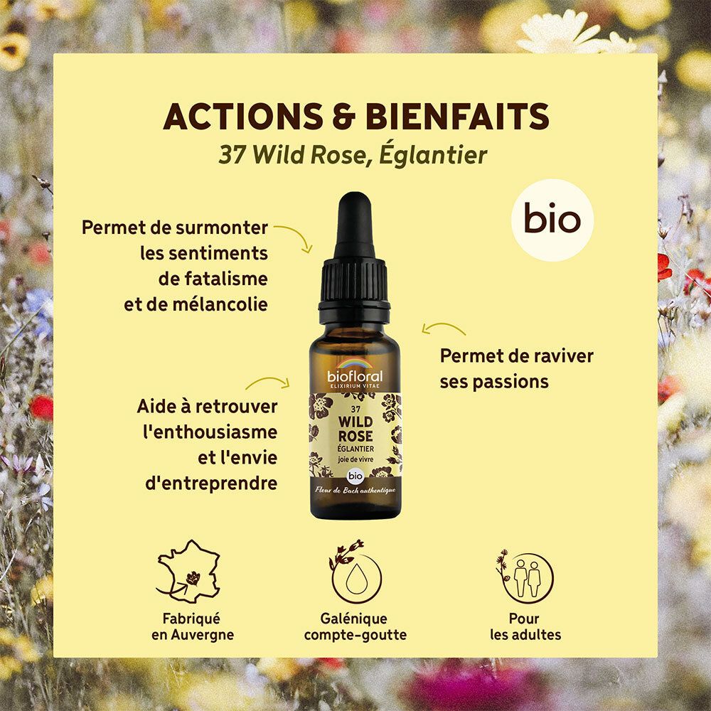 BIOFLORAL Wild rose - Eglantier - 20 ml