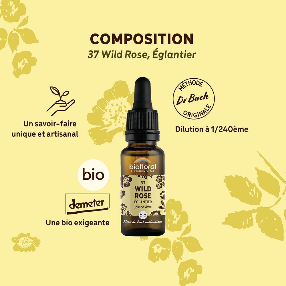 BIOFLORAL Wilde Rose - Hagebutte