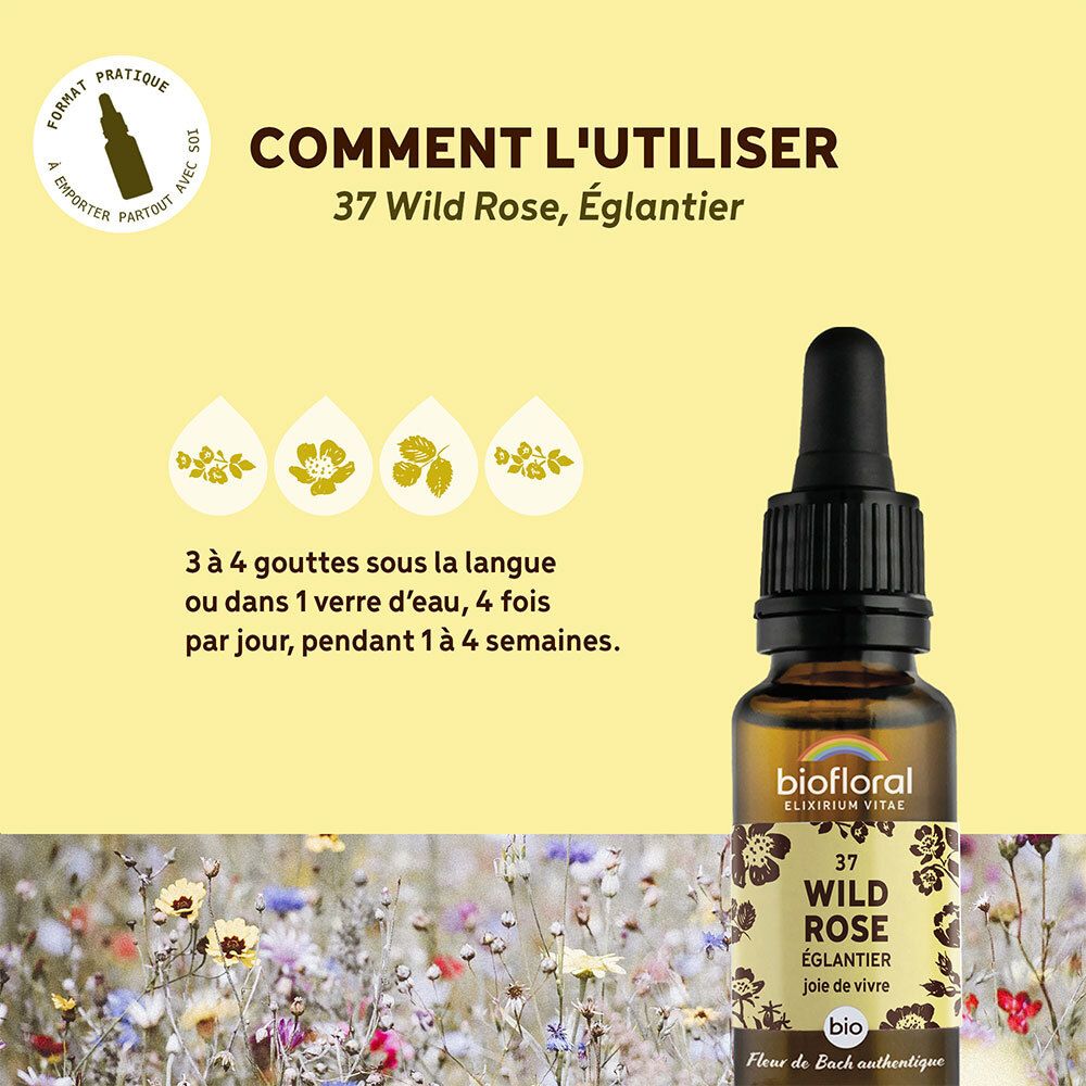 BIOFLORAL Wilde Rose - Hagebutte
