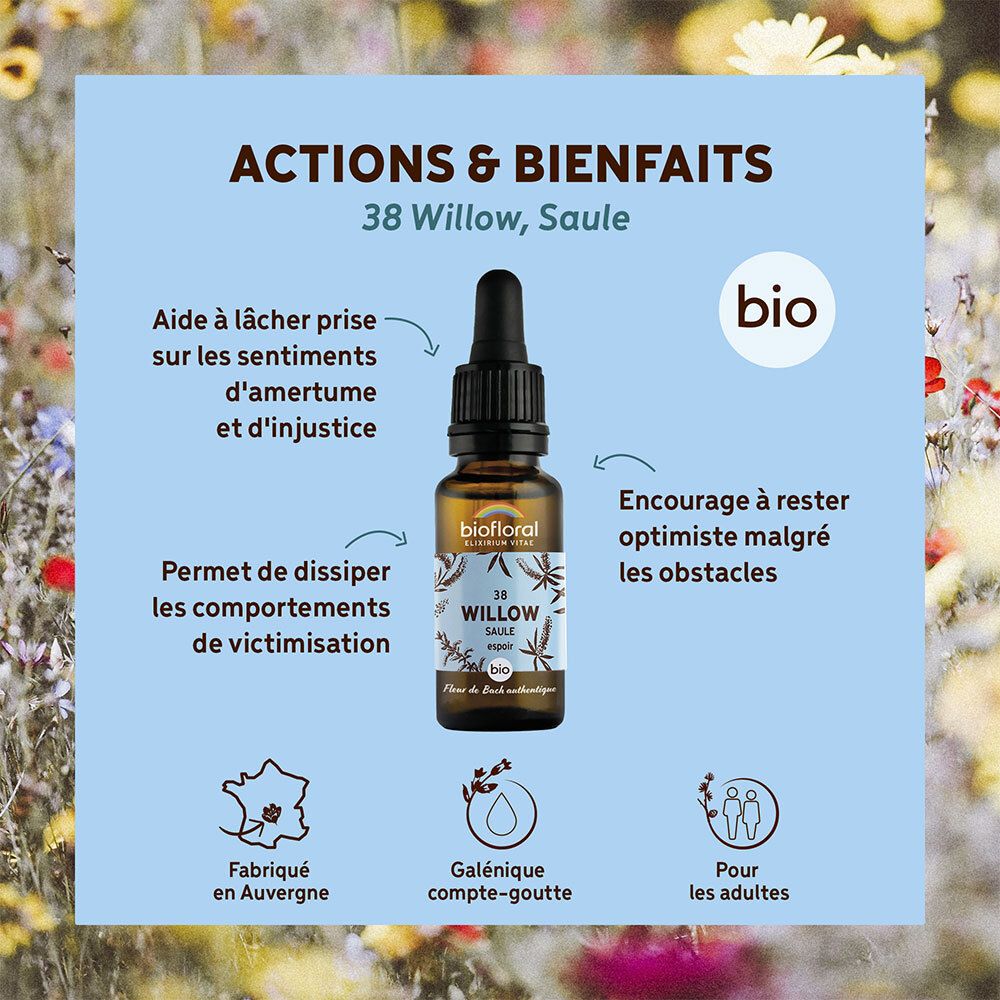 BIOFLORAL 38 - Willow - Saule