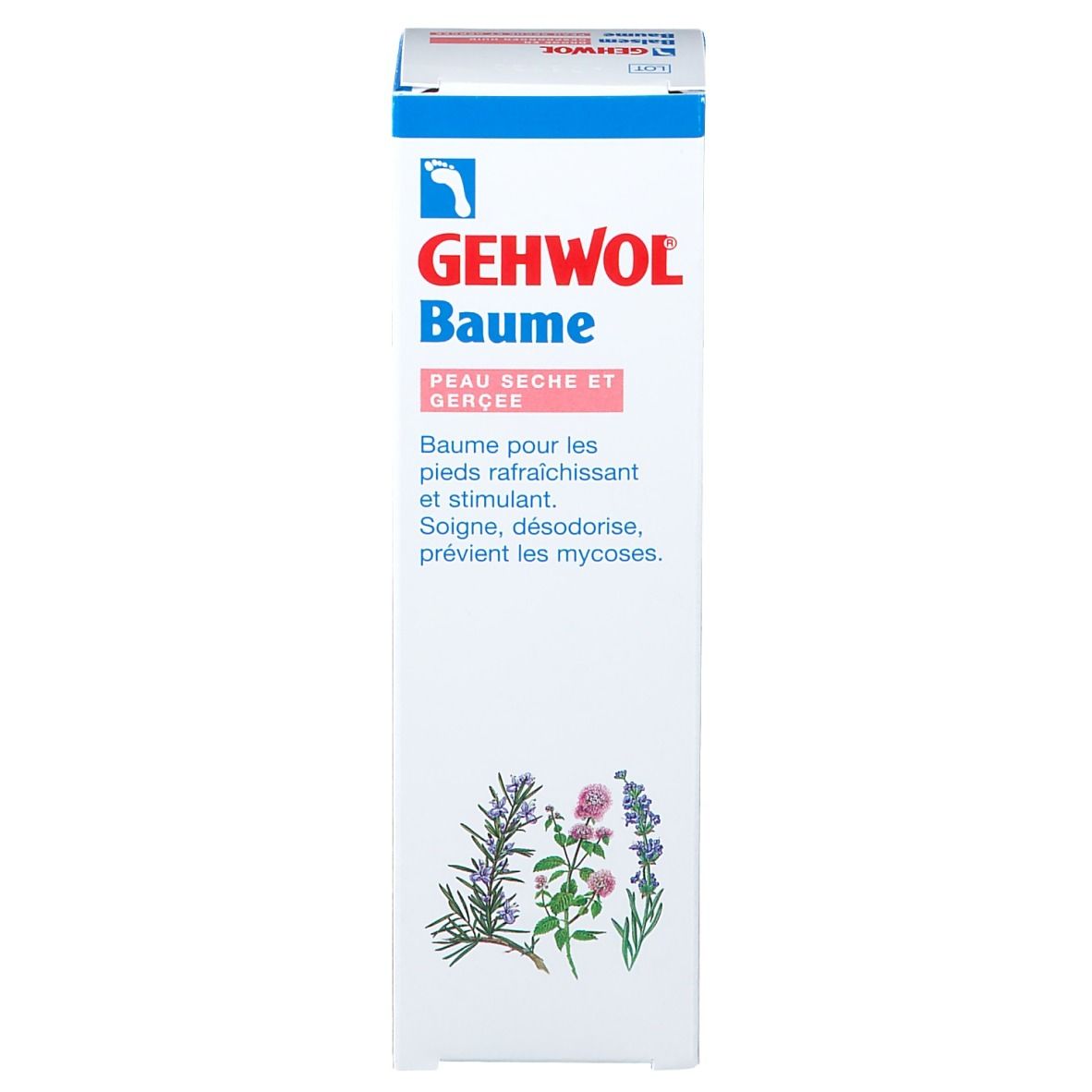 Gehwol Balsam für trockene Füße Neue Formel