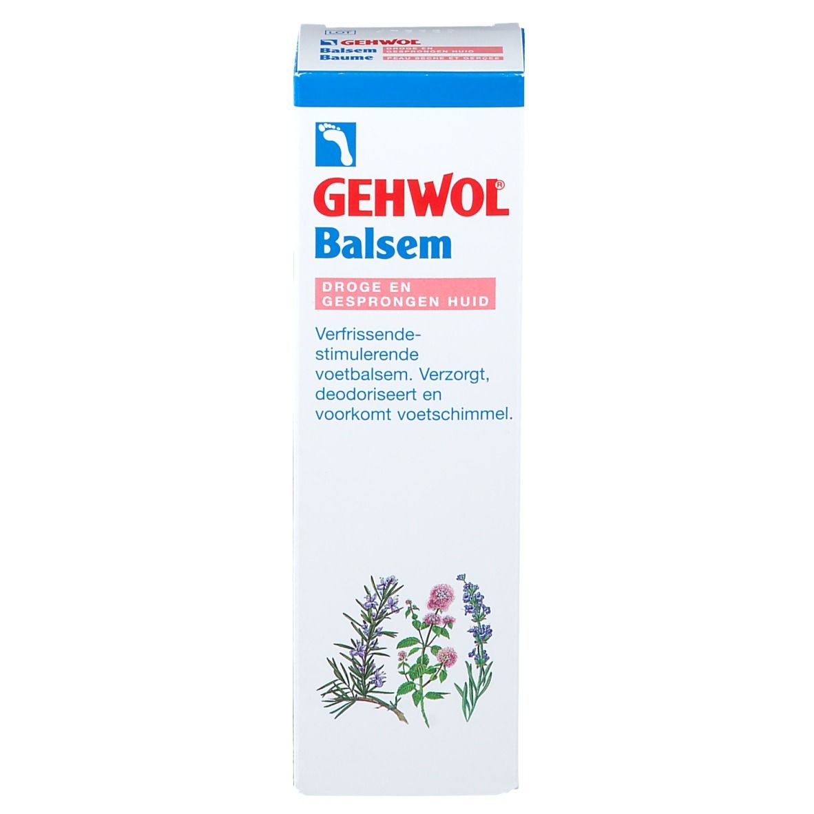 Gehwol Balsam für trockene Füße Neue Formel