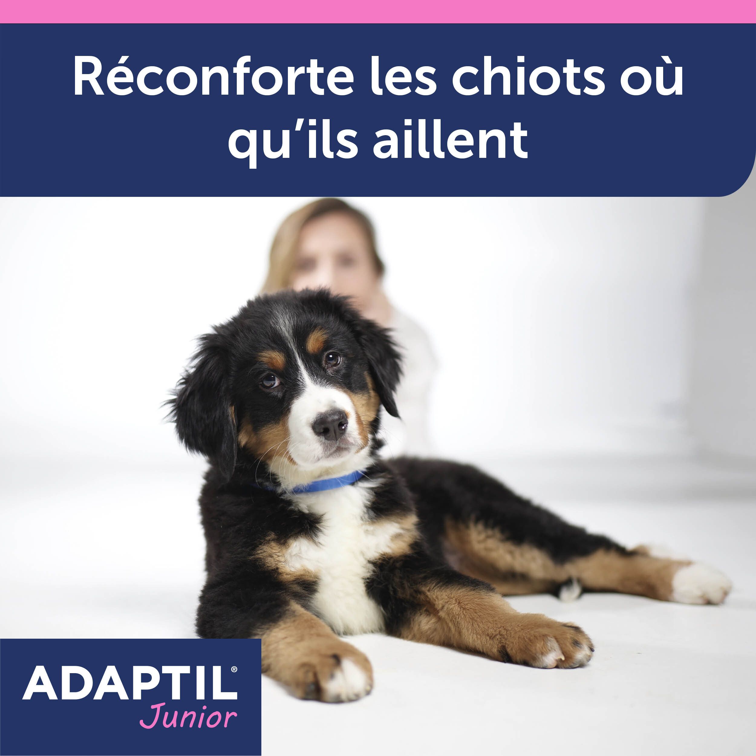 ADAPTIL® Junior