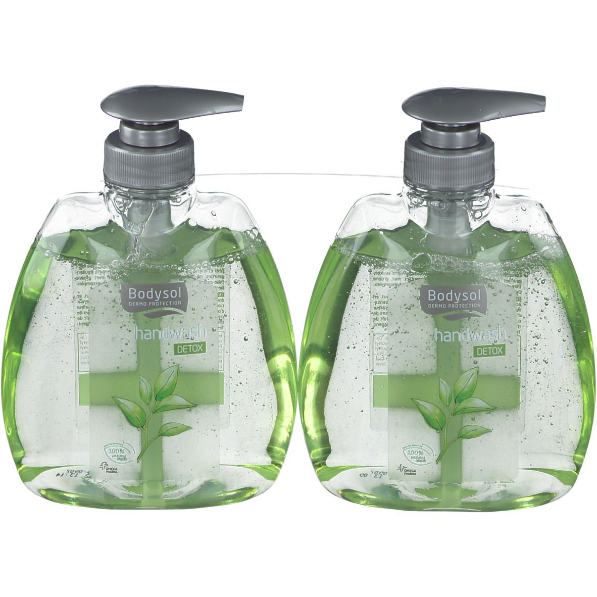 Zwei transparente Seifenspender mit grünem Inhalt. Graue Pumpköpfe. Aufschrift: Bodysol Handwash Detox. Pflanzenmotiv.