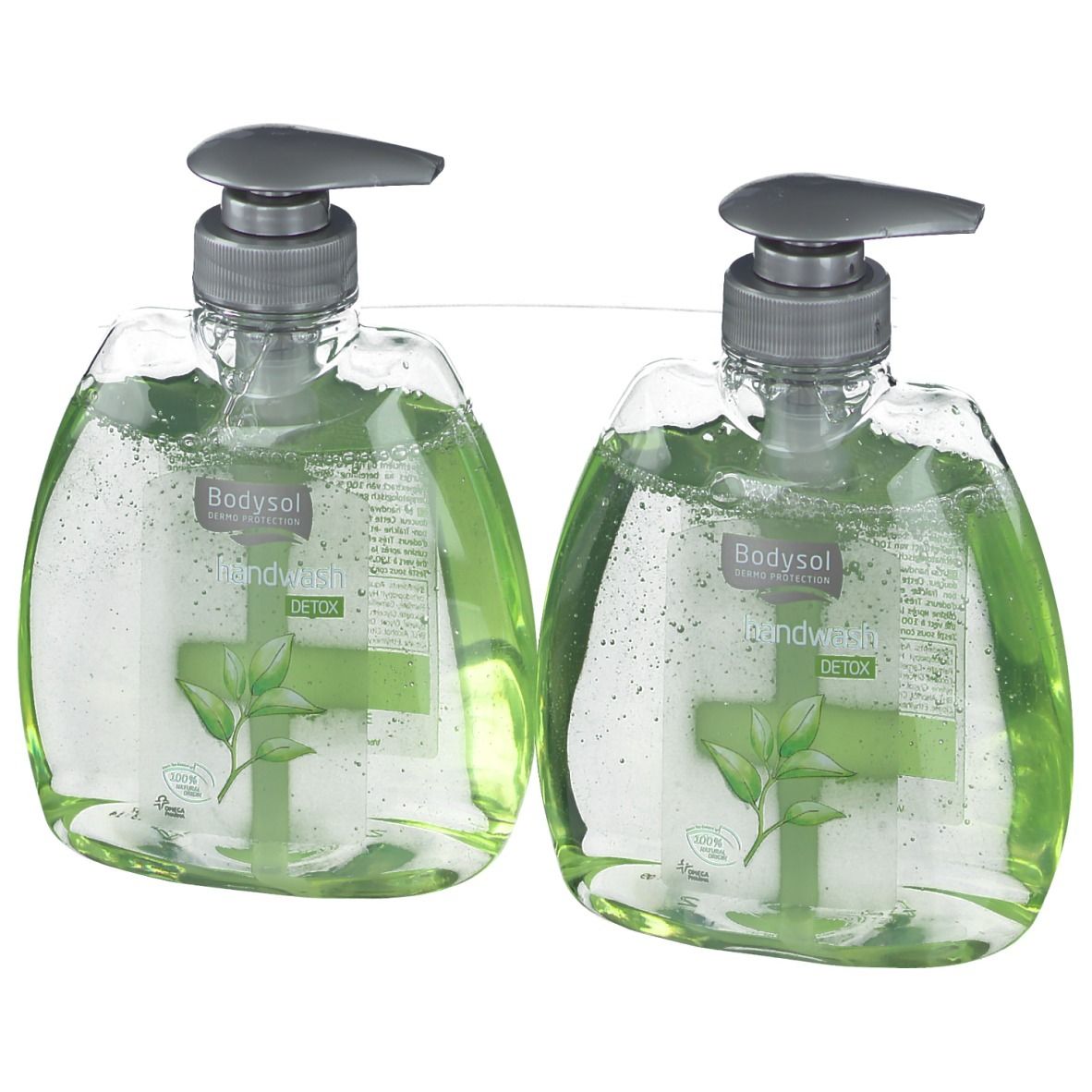 Zwei Seifenspender mit grünem Inhalt. Graue Pumpköpfe. Aufschrift: Bodysol Handwash Detox. Pflanzenmotiv auf Etikett.