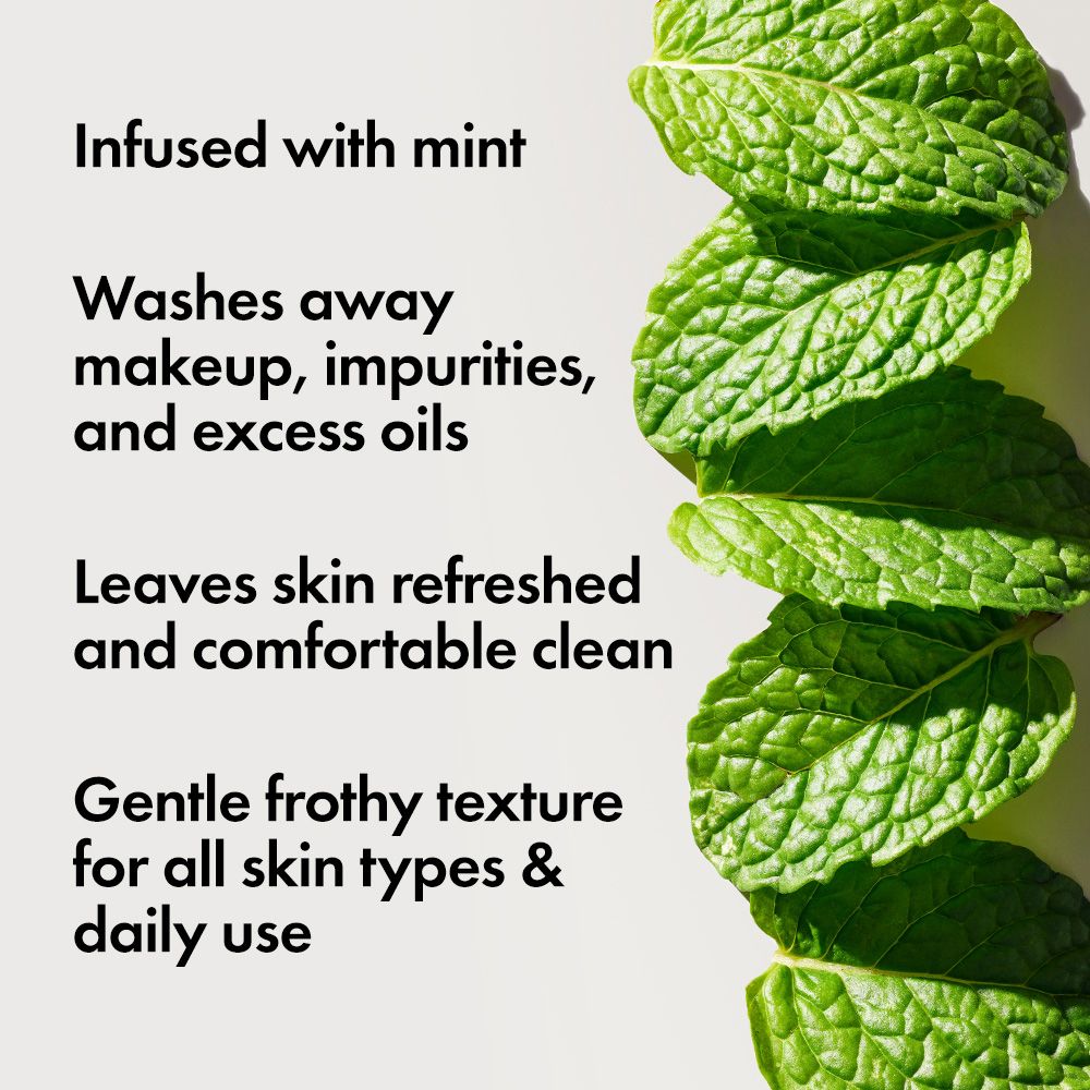 Text über Minze und Produktvorteile. Text: Frothy Face Wash, für alle Hauttypen.