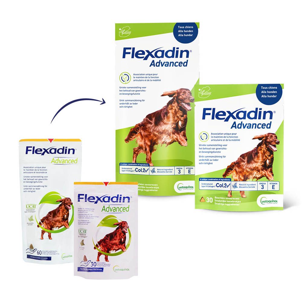 Flexadin® Advanced Chien