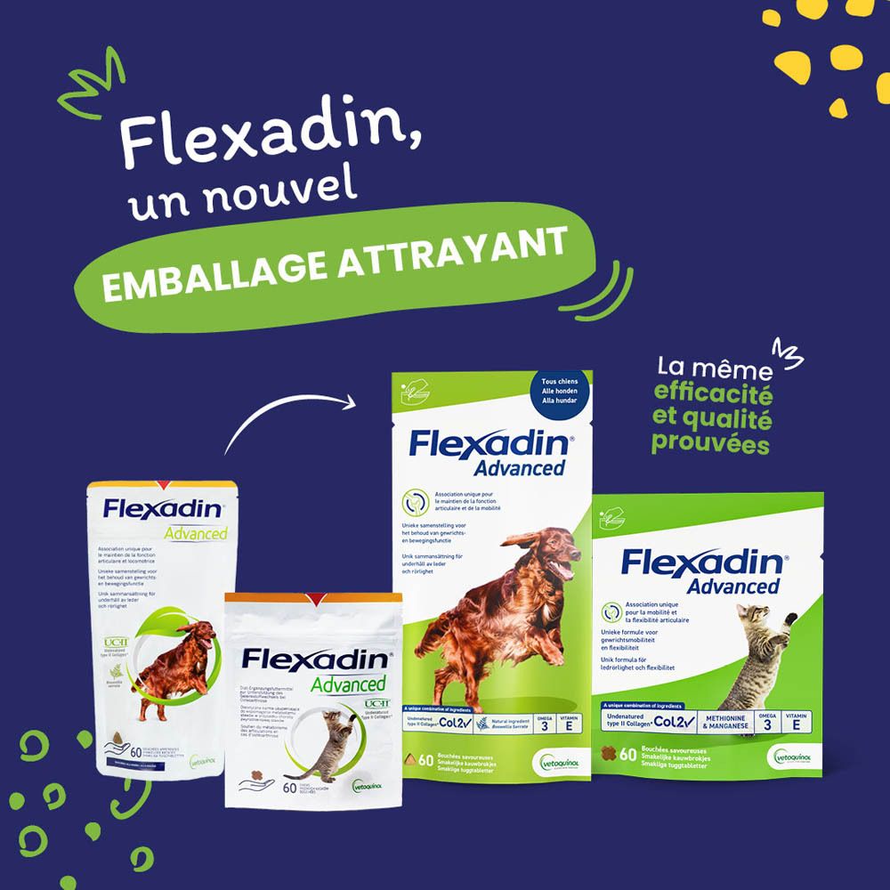 Flexadin® Advanced Chien