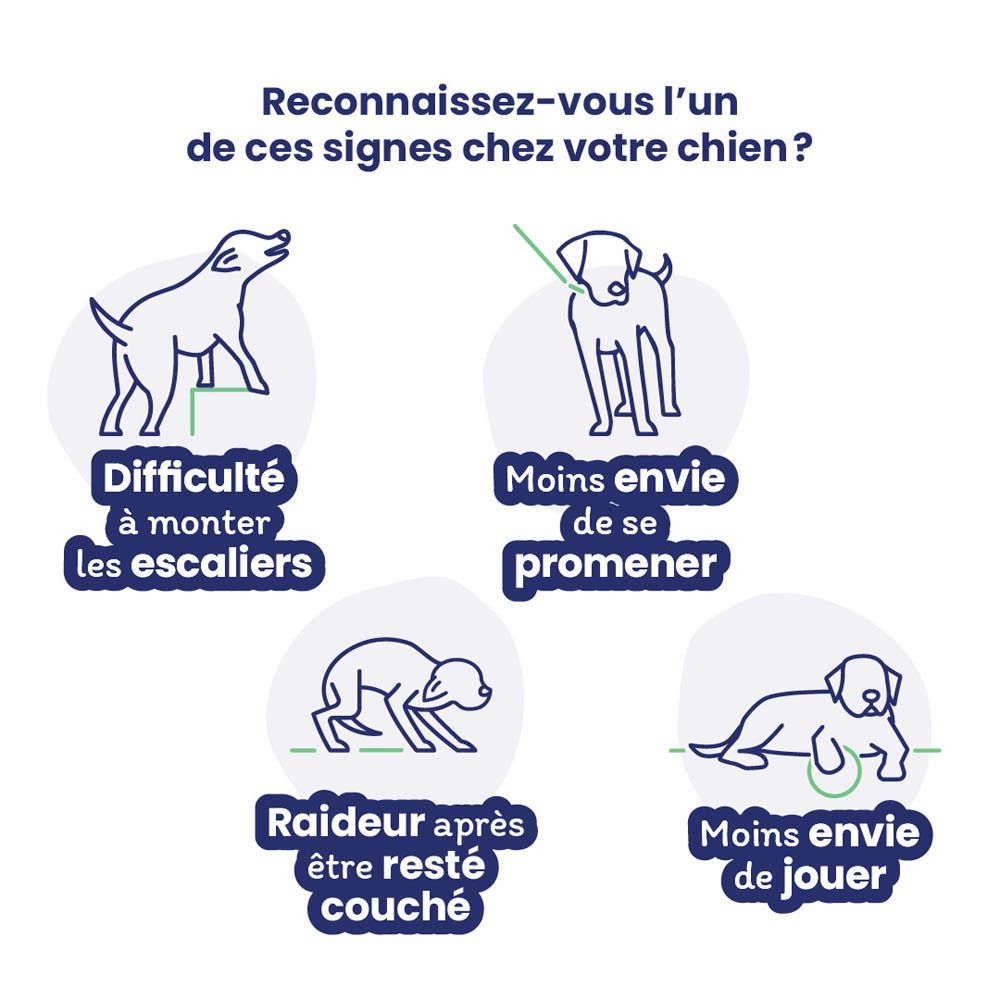Flexadin® Advanced Chien