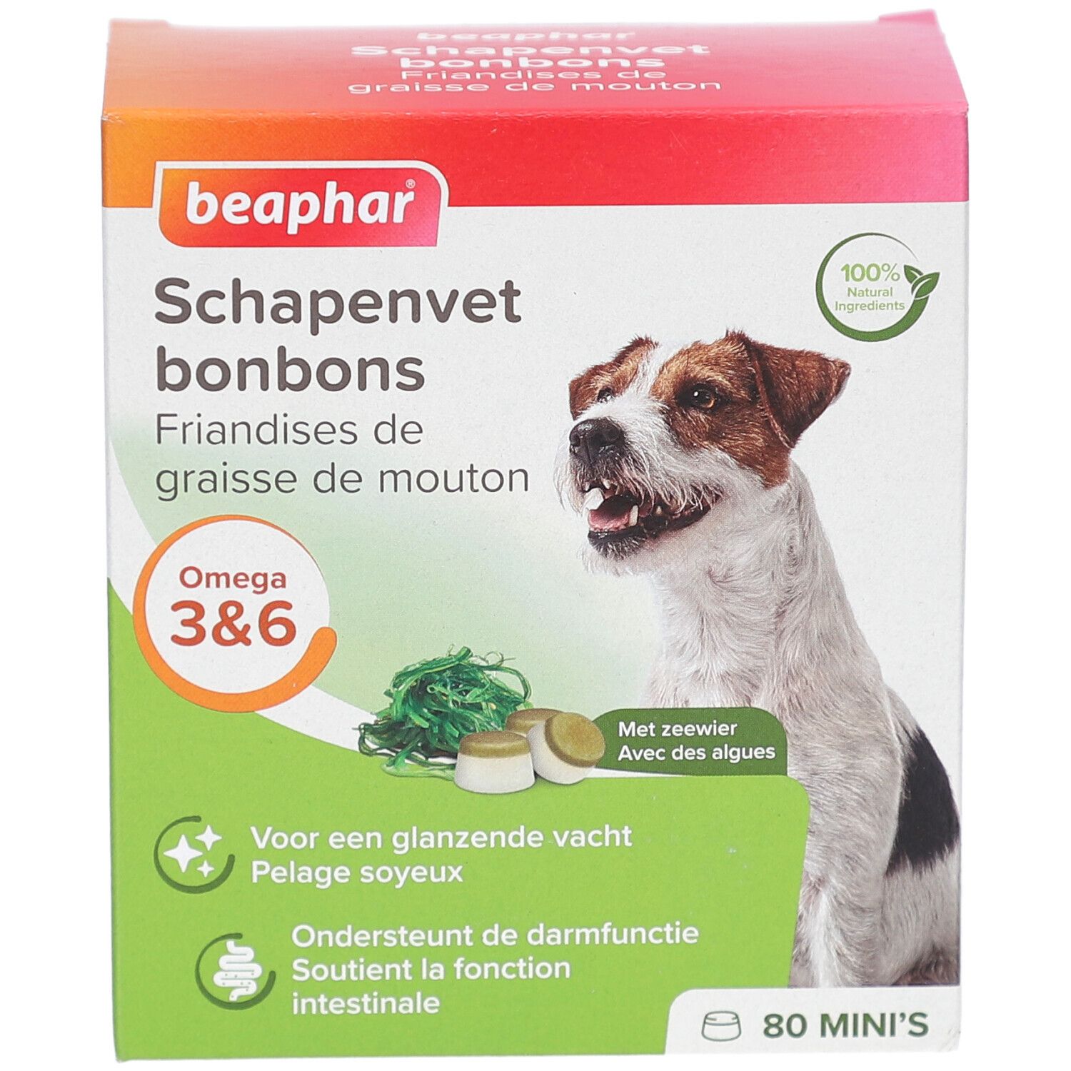 Beaphar Schapenvet bonbons Verpackung. Hund, Algen und Bonbons. Omega 3&6. 80 Mini's. Für glänzendes Fell und Darmfunktion.